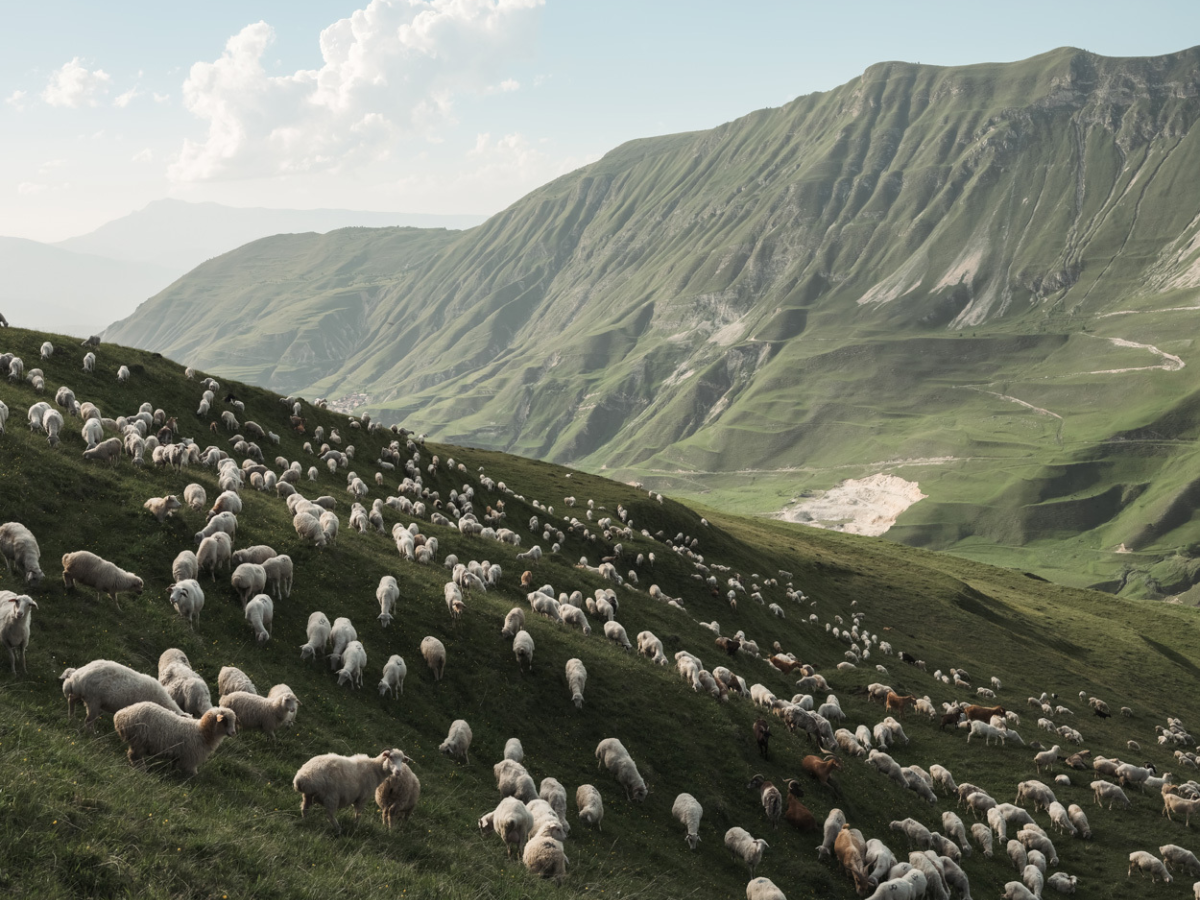 Leica Oskar Barnack Award 2026