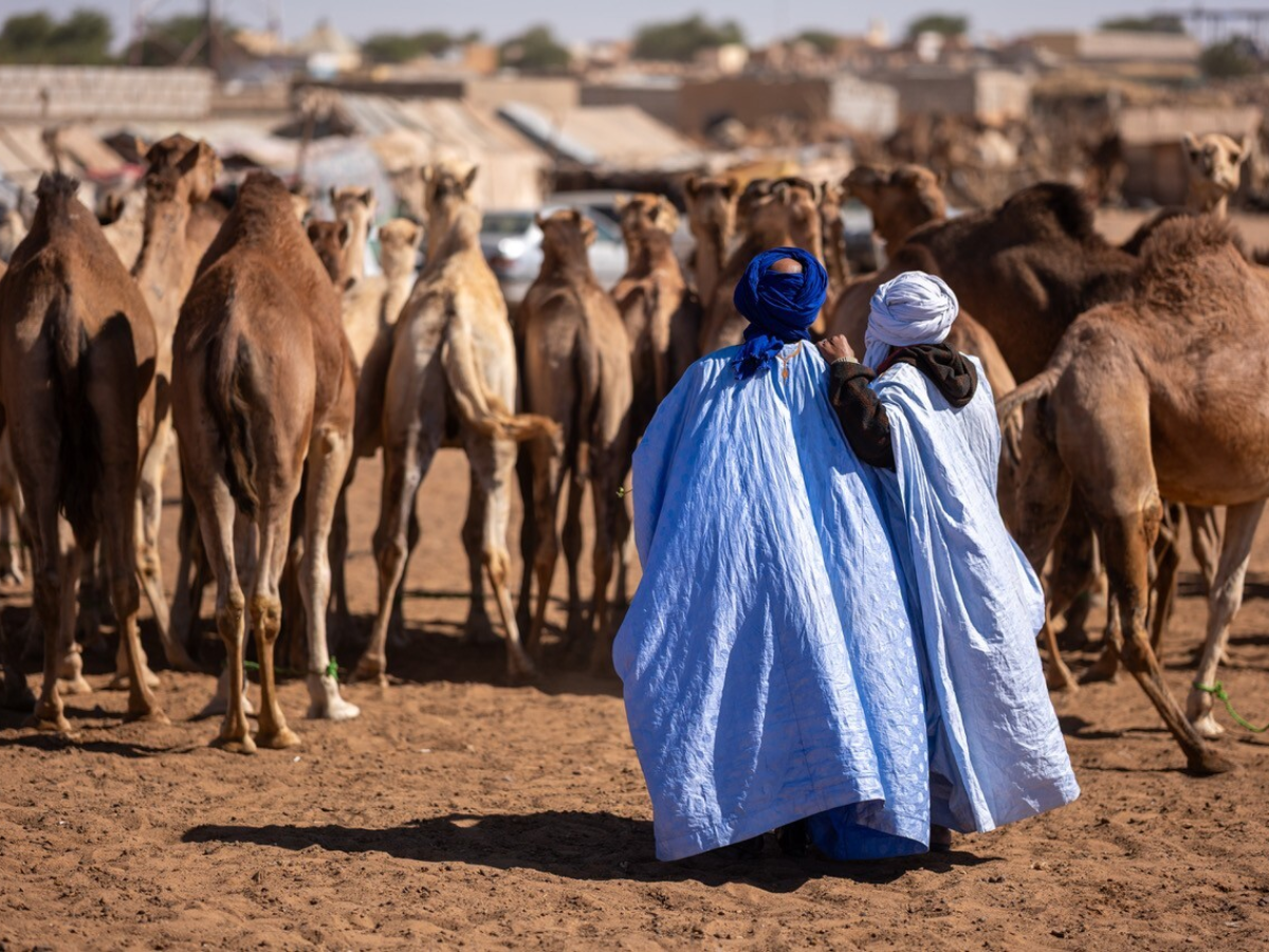 Mauretanien – mit dem Erzzug in die Sahara